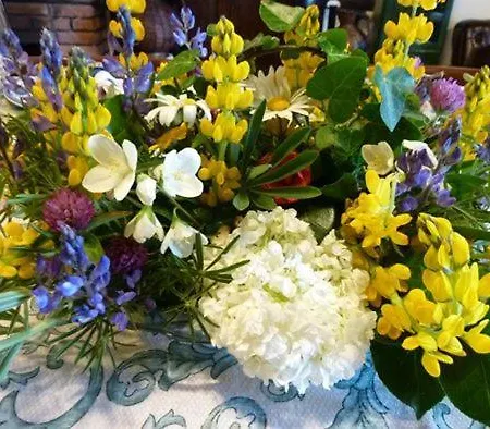 Casa Do Pacio Sabadelle Ubytování v soukromí *