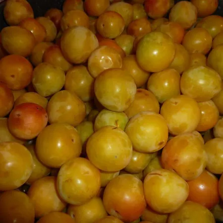 Casa Do Pacio Sabadelle