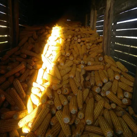 Ubytování v soukromí Casa Do Pacio Sabadelle *