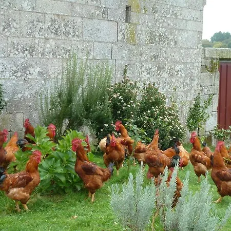 Casa Do Pacio Sabadelle *