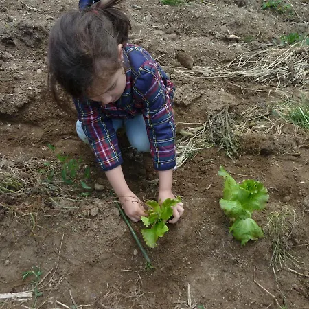 Ubytování v soukromí Casa Do Pacio Sabadelle