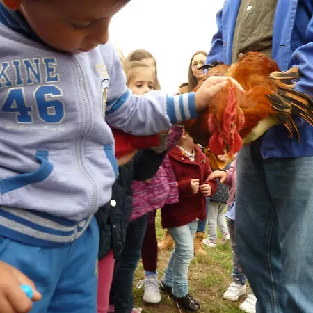 Ubytování v soukromí Casa Do Pacio Sabadelle