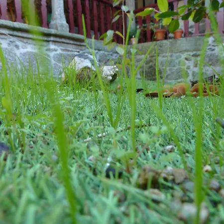 Ubytování v soukromí Casa Do Pacio Sabadelle *