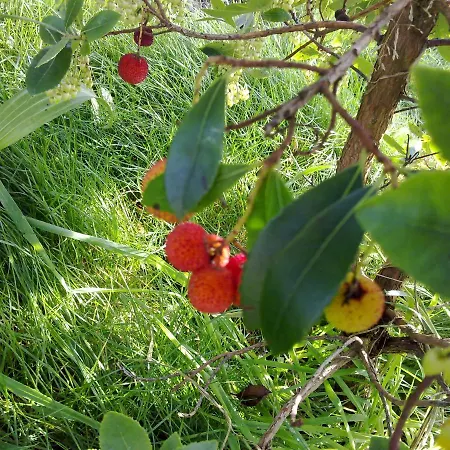 Casa Do Pacio Sabadelle