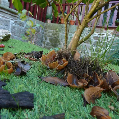 Casa Do Pacio Sabadelle منزل للإقامة
