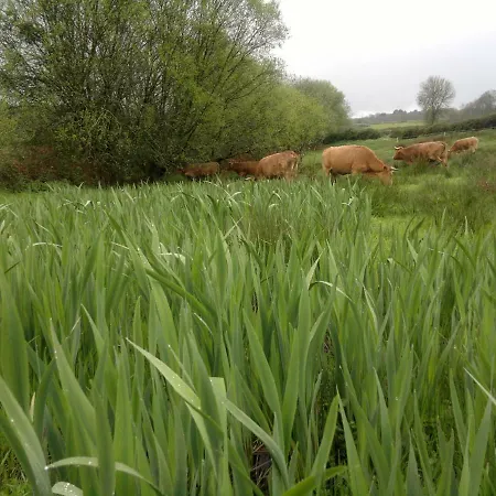 Casa Do Pacio Sabadelle منزل للإقامة