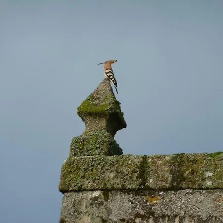 Casa Do Pacio Sabadelle منزل للإقامة *