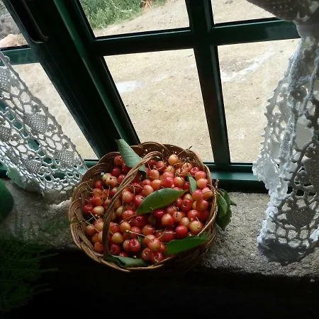 Casa Do Pacio Sabadelle * Луго