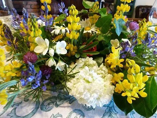 Casa Do Pacio Sabadelle Séjour chez l'habitant *