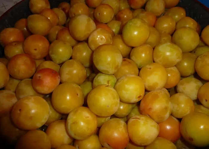 Casa Do Pacio Sabadelle