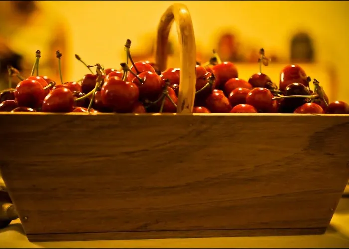 Casa Do Pacio Sabadelle * Lugo