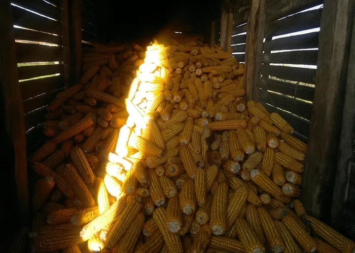 Δωμάτια σε οικογενειακή κατοικία Casa Do Pacio Sabadelle *