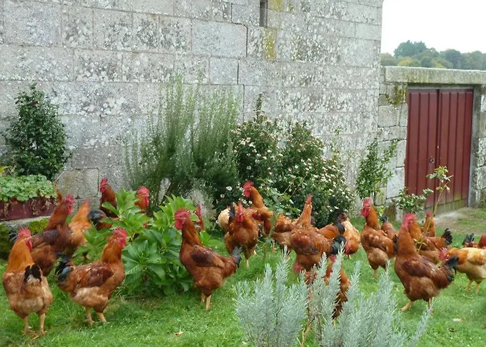 Casa Do Pacio Sabadelle *