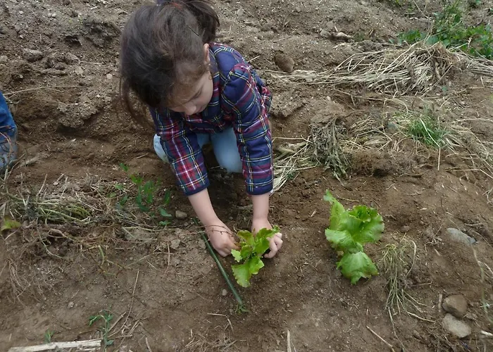 Séjour chez l'habitant Casa Do Pacio Sabadelle