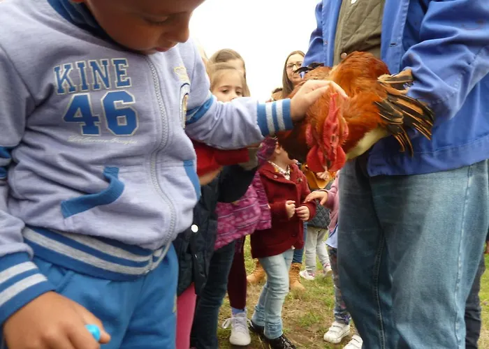 Δωμάτια σε οικογενειακή κατοικία Casa Do Pacio Sabadelle