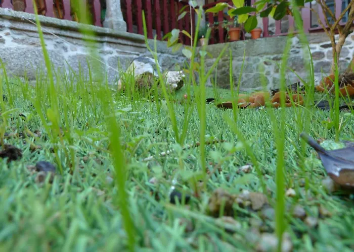 Δωμάτια σε οικογενειακή κατοικία Casa Do Pacio Sabadelle *