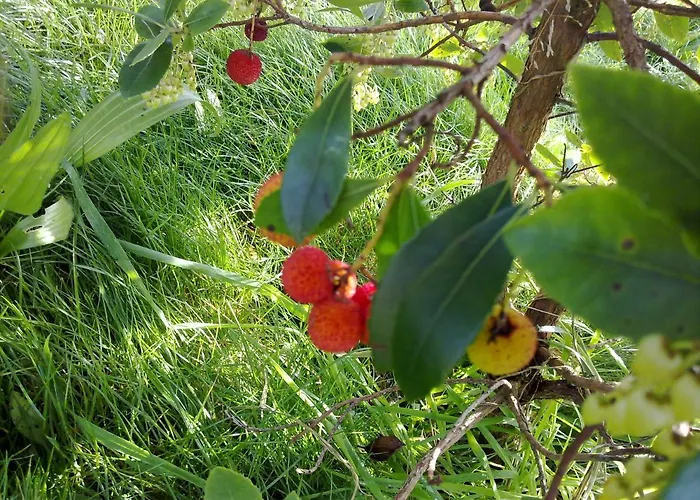 Casa Do Pacio Sabadelle