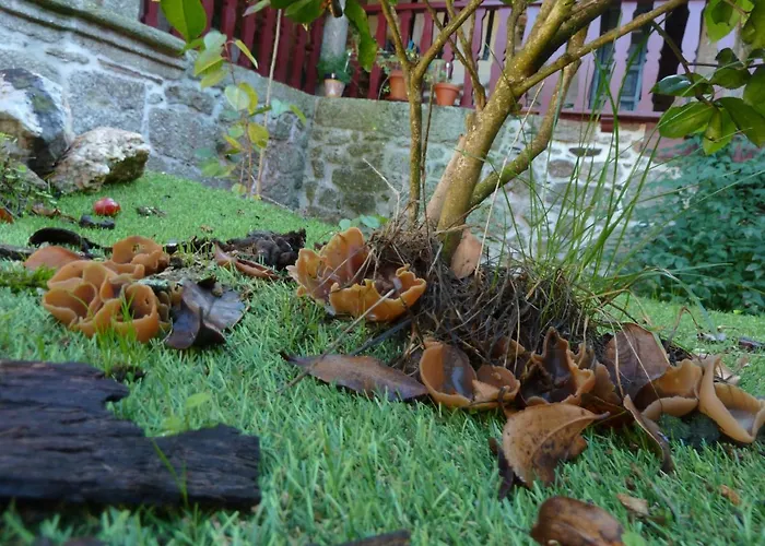 Casa Do Pacio Sabadelle Δωμάτια σε οικογενειακή κατοικία