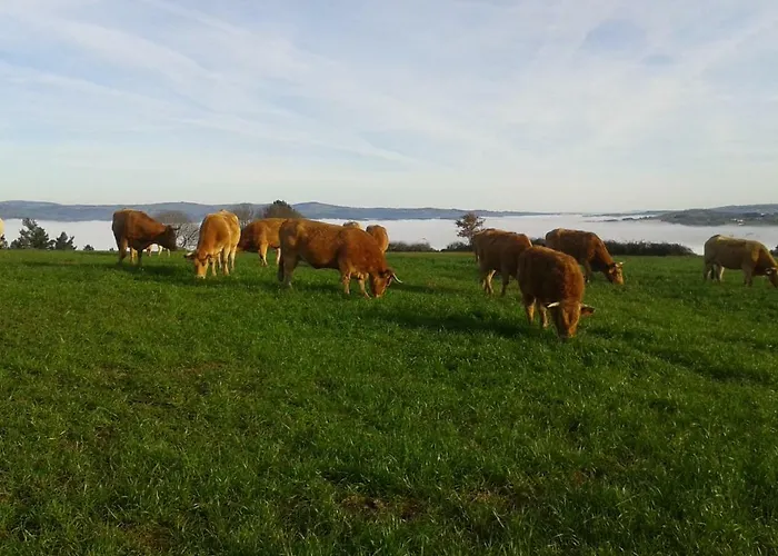 Δωμάτια σε οικογενειακή κατοικία Casa Do Pacio Sabadelle