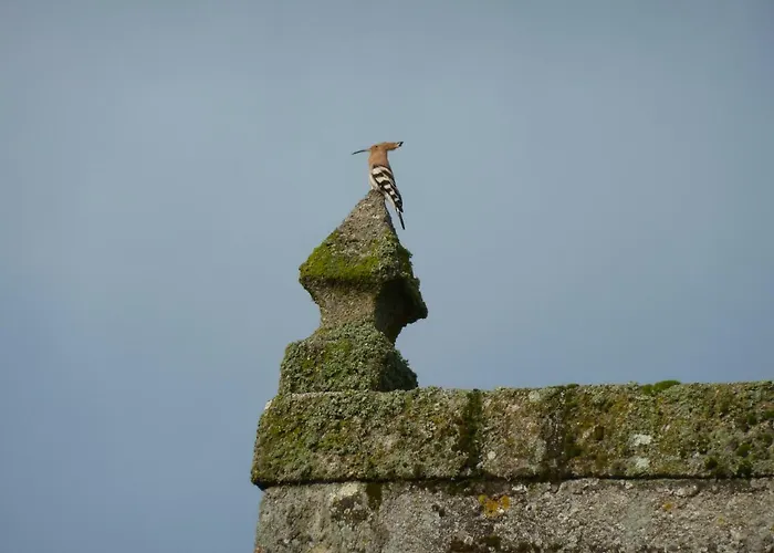 Casa Do Pacio Sabadelle Δωμάτια σε οικογενειακή κατοικία *