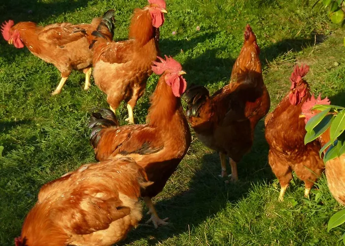 Δωμάτια σε οικογενειακή κατοικία Casa Do Pacio Sabadelle